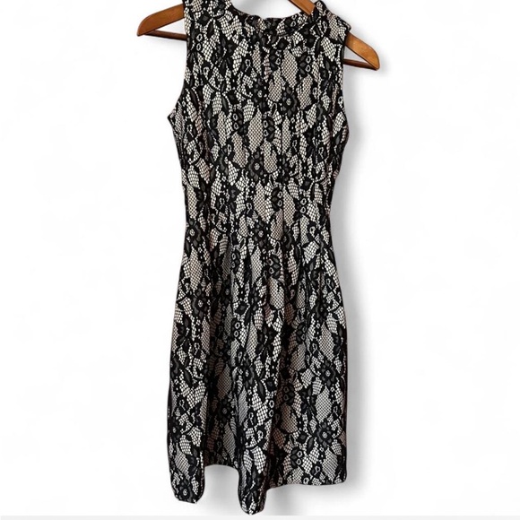 HD in Paris Dresses & Skirts - HD in Paris Black Lace Mini Dress